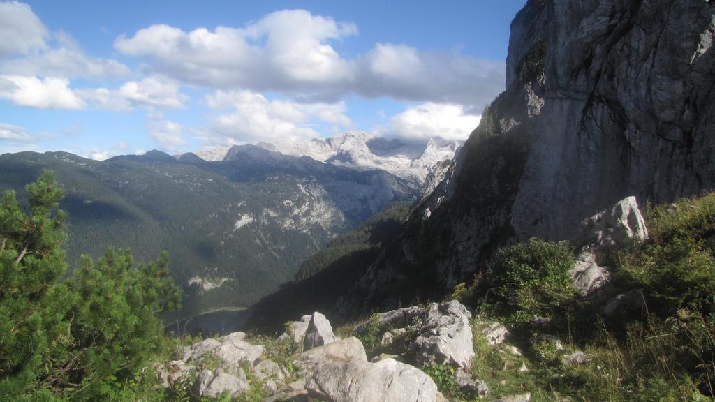 Pension Sydler Bad Goisern Bagian luar foto
