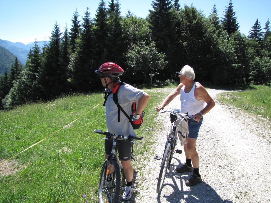 Pension Sydler Bad Goisern Bagian luar foto